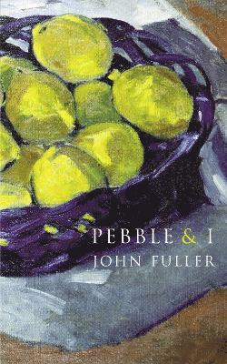 John Fuller - Pebble & I, Häftad