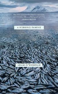 bokomslag Herring Famine