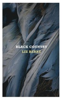 bokomslag Black Country