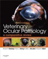 bokomslag Veterinary Ocular Pathology