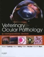 bokomslag Veterinary Ocular Pathology