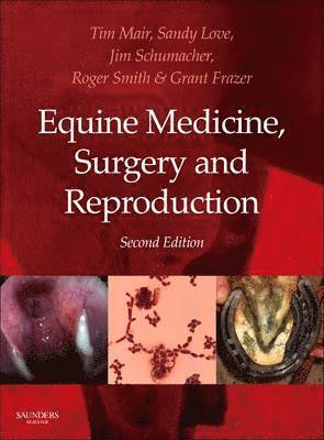 bokomslag Equine Medicine, Surgery and Reproduction