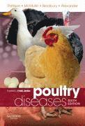 bokomslag Poultry Diseases