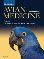 bokomslag Handbook of Avian Medicine