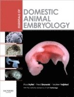 bokomslag Essentials of Domestic Animal Embryology