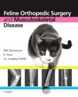 bokomslag Feline Orthopedic Surgery and Musculoskeletal Disease