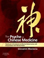 bokomslag The Psyche in Chinese Medicine