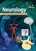 Neurology 1