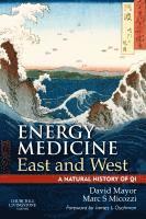 bokomslag Energy Medicine East and West