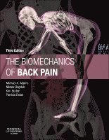 The Biomechanics of Back Pain 1