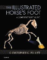 bokomslag Illustrated Horse's Foot