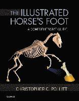 bokomslag The Illustrated Horse's Foot