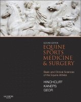Kenneth W Hinchcliff, Andris J. Kaneps, Raymond J. Geor, Kenneth W. Hinchcliff - Equine Sports Medicine and Surgery, Inbunden