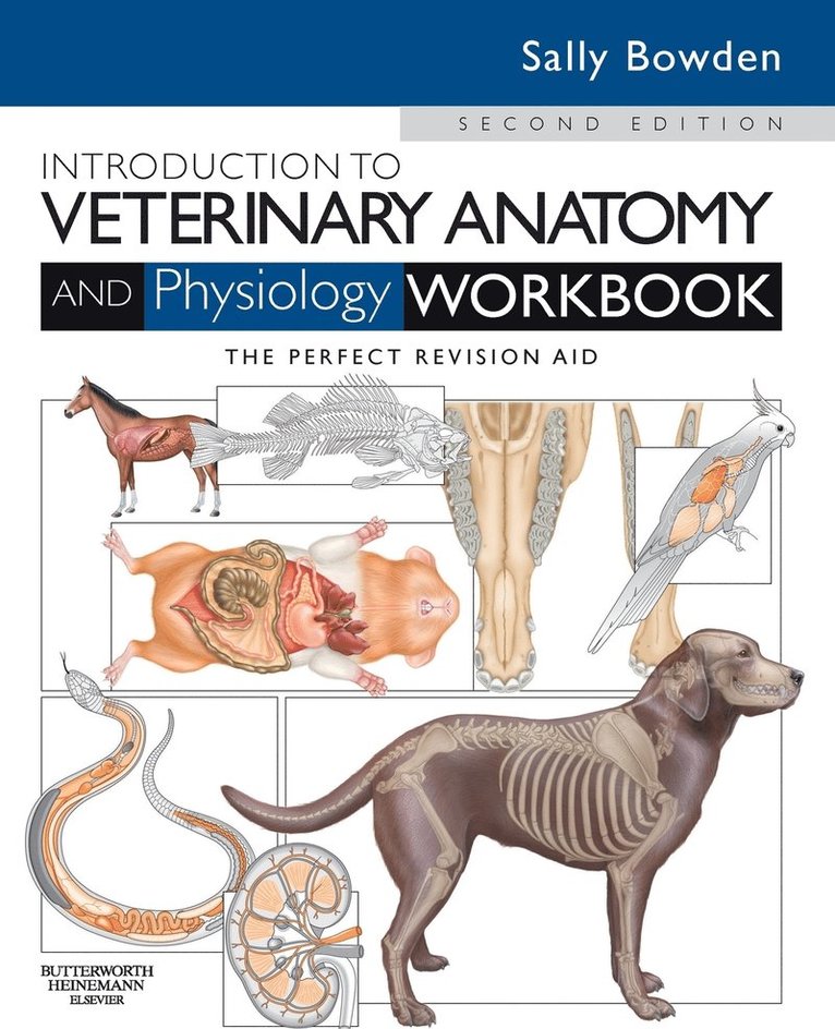 Introduction to Veterinary Anatomy and Physiology Workbook 1