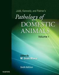 bokomslag Jubb, Kennedy & Palmer's Pathology of Domestic Animals: Volume 1