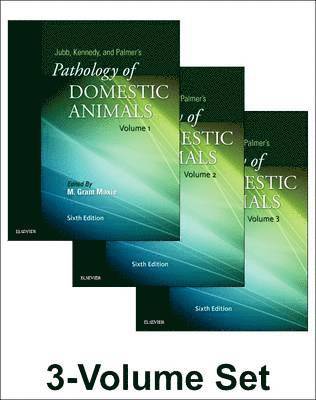 Jubb, Kennedy & Palmer's Pathology of Domestic Animals: 3-Volume Set 1