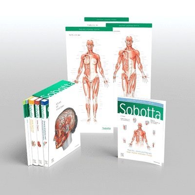 Sobotta Atlas of Anatomy, Package, 17th ed., English/Latin 1