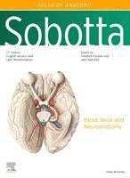 Sobotta Atlas of Anatomy, Vol. 3, 17th ed., English/Latin 1