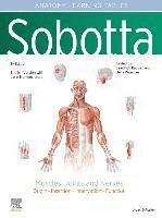 bokomslag Sobotta Learning Tables of Muscles, Joints and Nerves, English/Latin