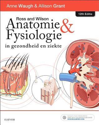 Waugh, A: Ross En Wilson Anatomie En Fysiologie in Gezondhei