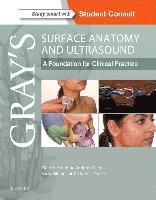 bokomslag Gray's Surface Anatomy and Ultrasound