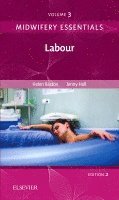 Helen Baston, Jennifer Hall - Midwifery Essentials: Labour, Häftad
