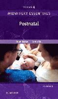 bokomslag Midwifery Essentials: Postnatal