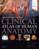 Peter H. Abrahams, Jonathan Spratt, Marios Loukas, Albert van Schoor - Abrahams' and McMinn's Clinical Atlas of Human Anatomy, Häftad