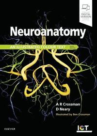 bokomslag Neuroanatomy: an Illustrated Colour Text