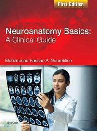 bokomslag Neuroanatomy Basics: A Clinical Guide
