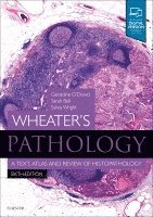 Geraldine O'Dowd, Sarah Bell, Sylvia Wright - Wheater's Pathology: A Text, Atlas and Review of Histopathology, Häftad