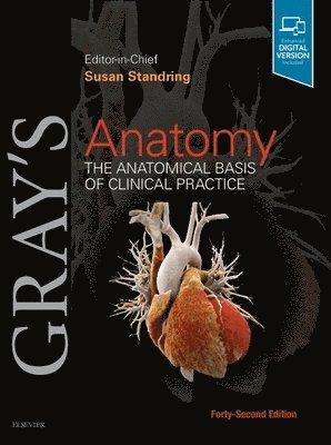 bokomslag Gray's Anatomy