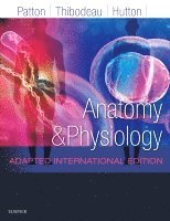 Kevin T. Patton, Gary A. Thibodeau, Andrew Hutton - Anatomy and Physiology, Inbunden