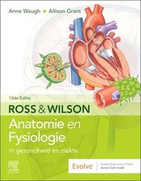 bokomslag Ross en Wilson Anatomie en Fysiologie in gezondheid en ziekte