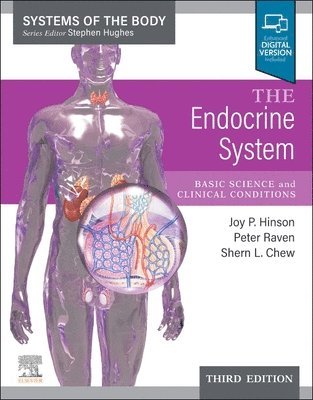 bokomslag Endocrine System