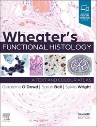 bokomslag Wheater's Functional Histology
