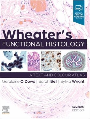 bokomslag Wheater's Functional Histology