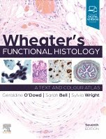 Geraldine O'Dowd, Sarah Bell, Sylvia Wright - Wheater's Functional Histology, Häftad