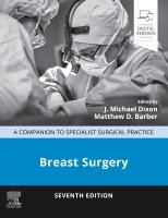 bokomslag Breast Surgery