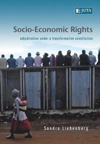 bokomslag Socio-economic rights