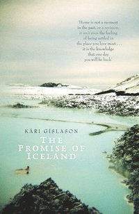 bokomslag The Promise of Iceland