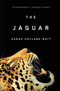 bokomslag Jaguar