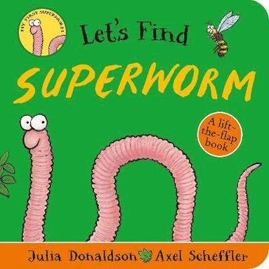 bokomslag Let's Find Superworm