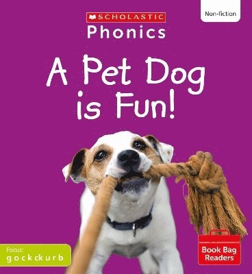 A Pet Dog is Fun! (Set 2) Matched to Little Wandle Letters and Sounds Revised 1