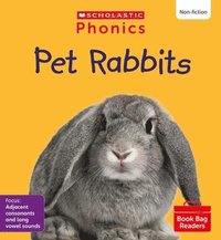 bokomslag Pet Rabbits (Set 8) Matched to Little Wandle Letters and Sounds Revised
