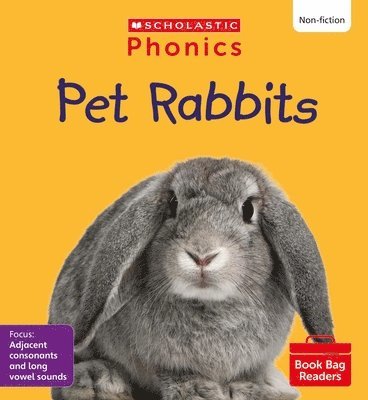 bokomslag Pet Rabbits (Set 8) Matched to Little Wandle Letters and Sounds Revised