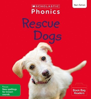 bokomslag Rescue Dogs (Set 9) Matched to Little Wandle Letters and Sounds Revised