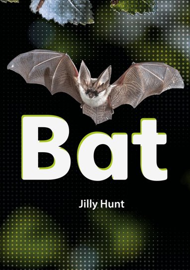 Jilly Hunt - Set 02 - Bat, Häftad
