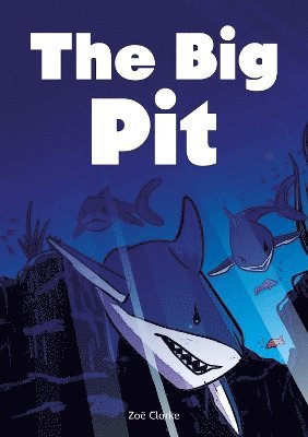 The Big Pit (Set 03) 1