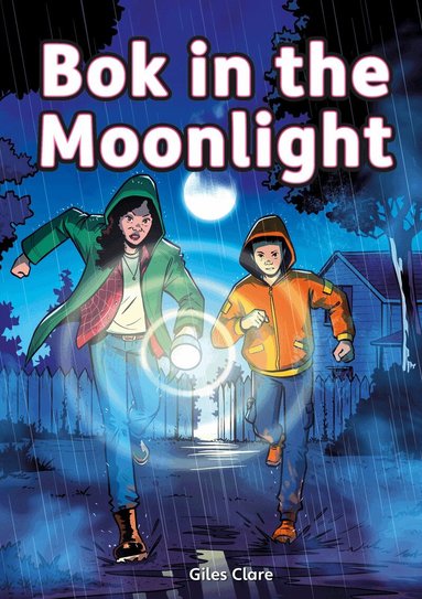 Giles Clare - Striders Phonics Readers Set 05: Bok in the Moonlight, Häftad